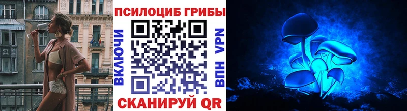 Псилоцибиновые грибы Cubensis  магазин  наркотиков  Цимлянск 