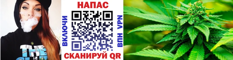 Канабис индика Цимлянск